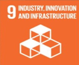 SDG 9