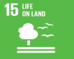 SDG 15