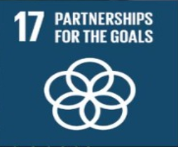 SDG 17