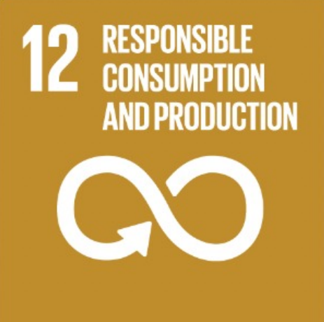 SDG 11