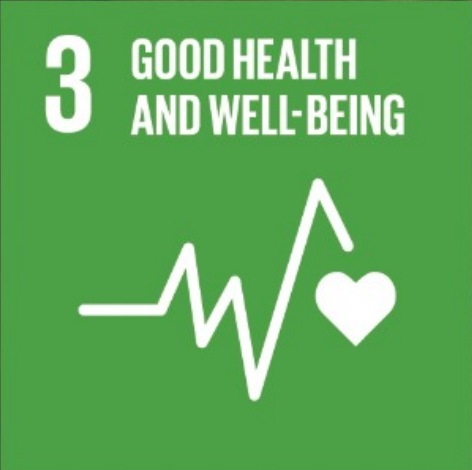 SDG 17